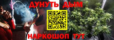молекула духа Партизанск
