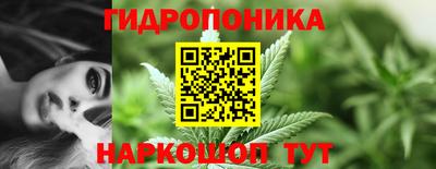 молекула духа Партизанск