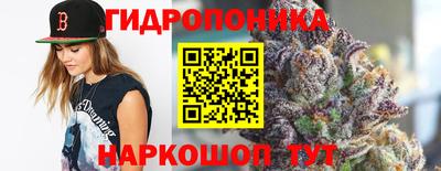 молекула духа Партизанск