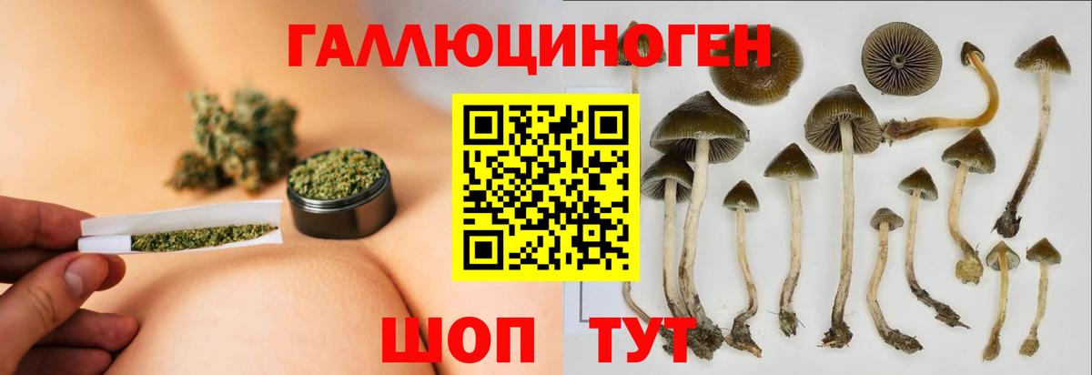 Бутурлиновка  Галлюциногенные грибы мицелий  Вход с VPN 